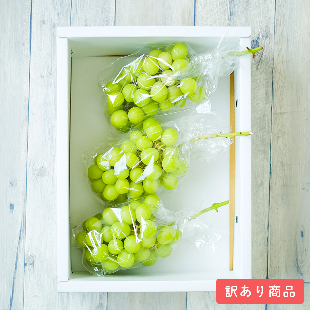 わけあり特価！シャインマスカット 1kg
