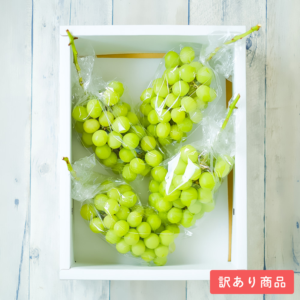わけあり特価！シャインマスカット 1.5kg