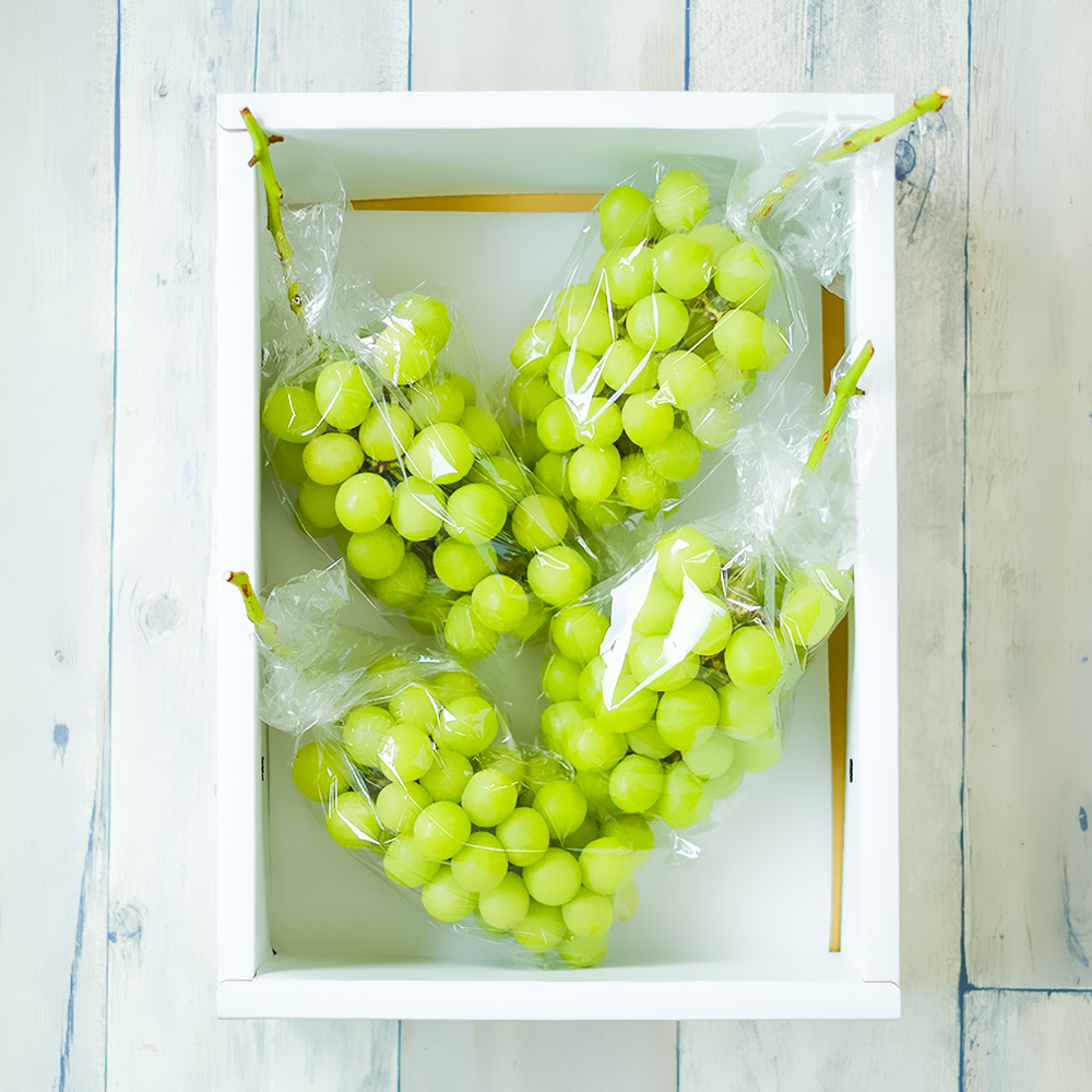 シャインマスカット 1.5kg